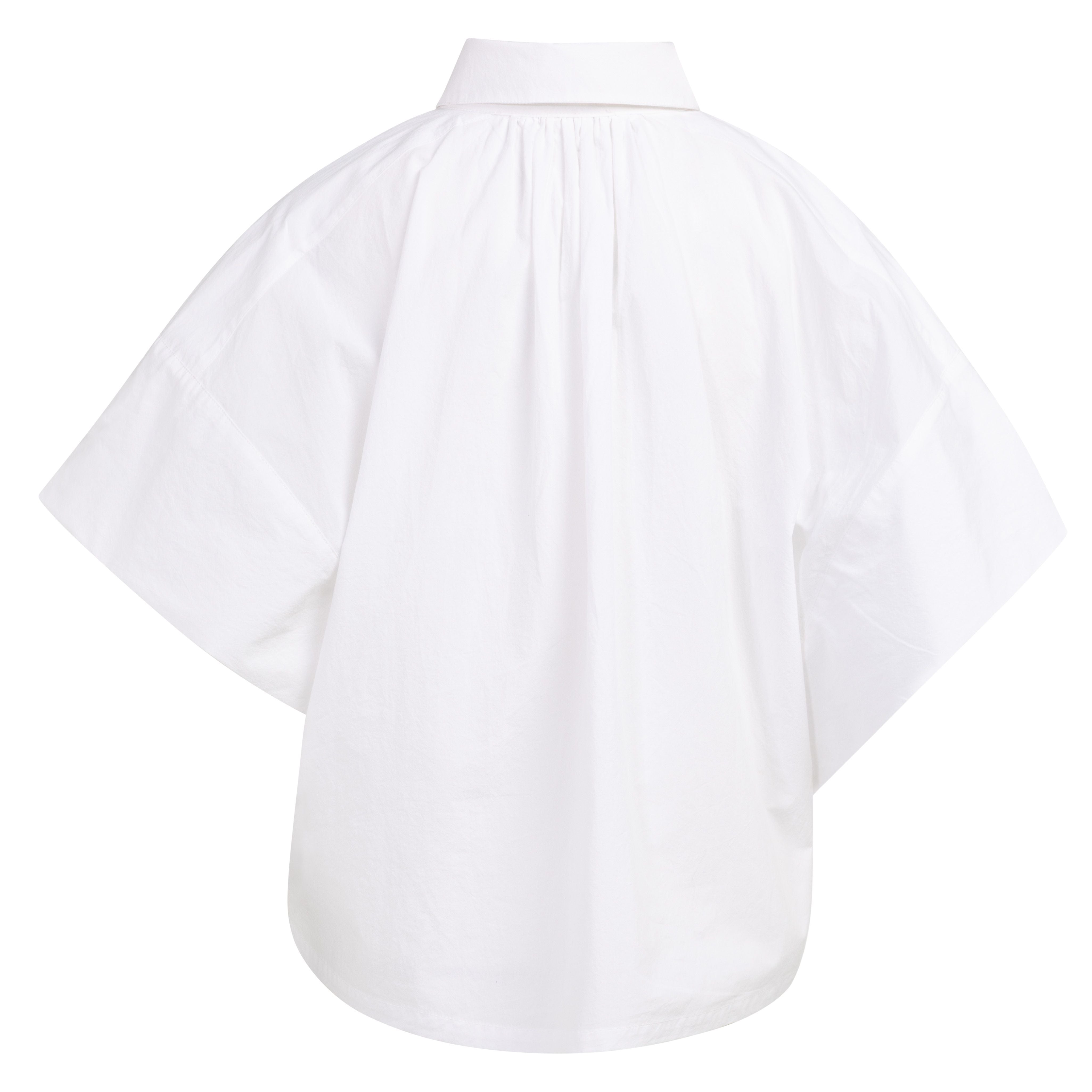 Blouse with Sleeve Detail