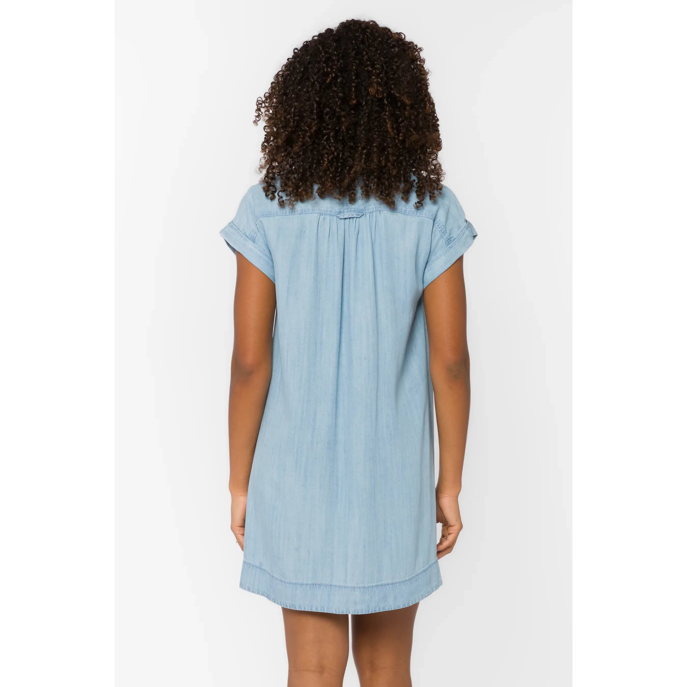 Starla Classic Indigo Dress
