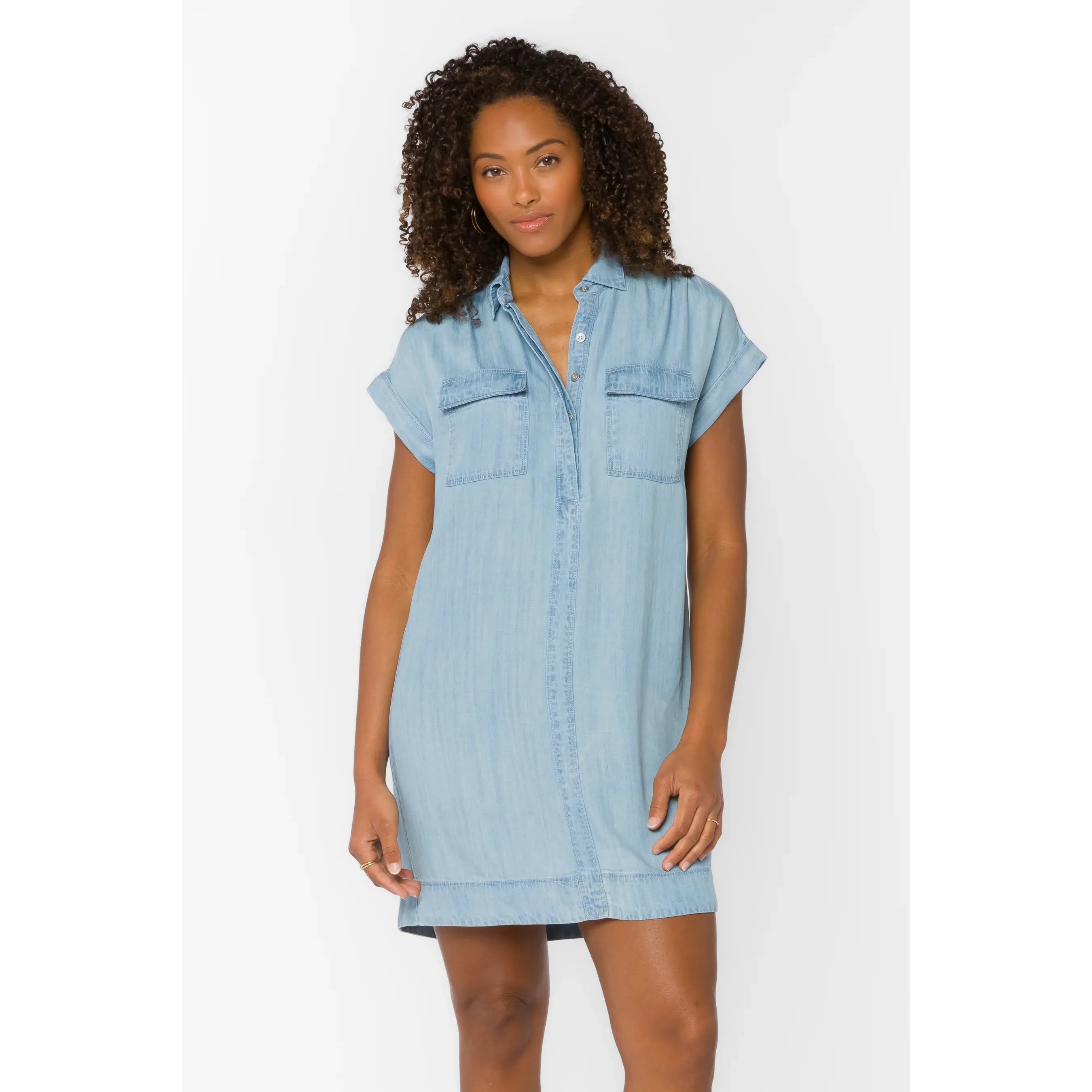 Starla Classic Indigo Dress