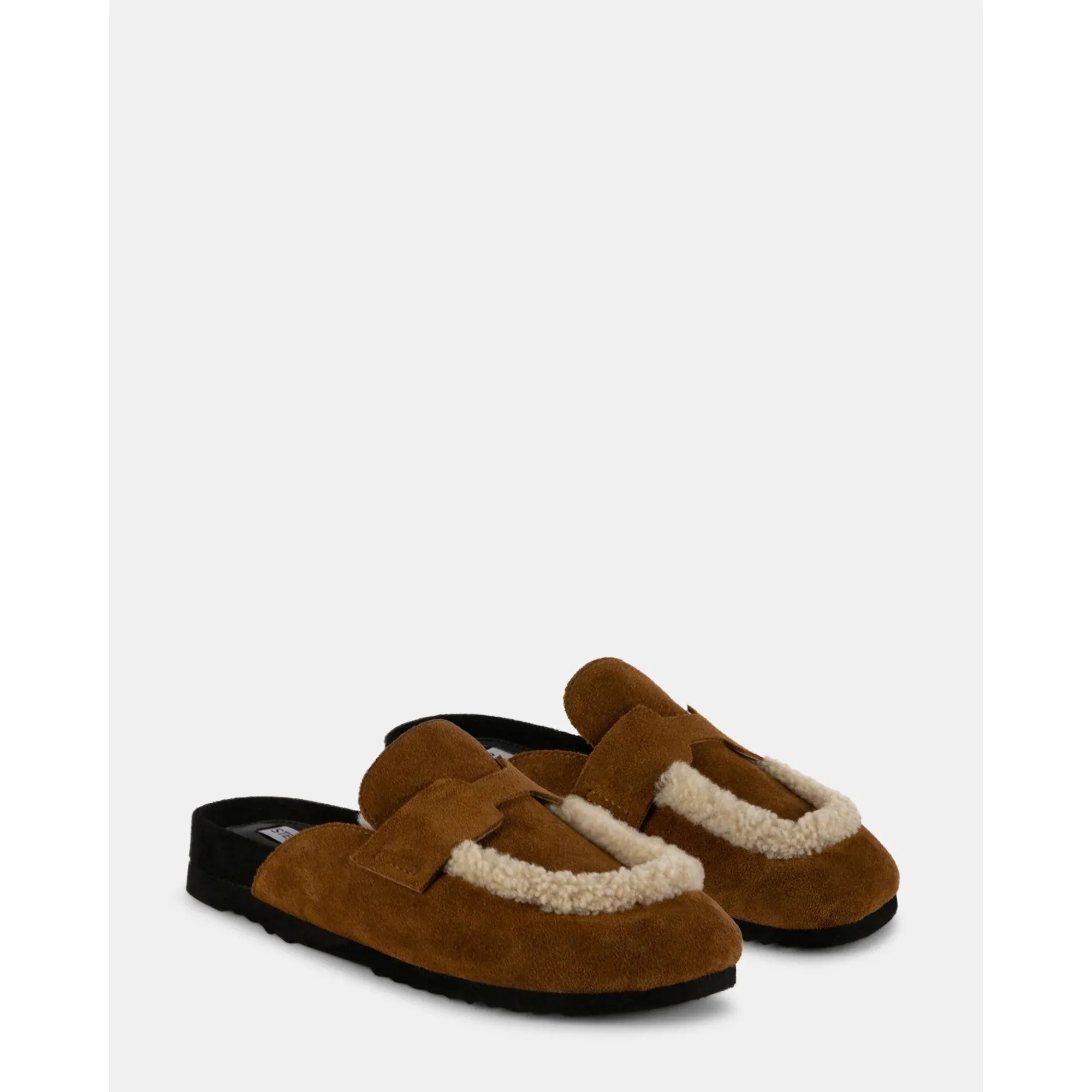 Downy | Camel Mirco