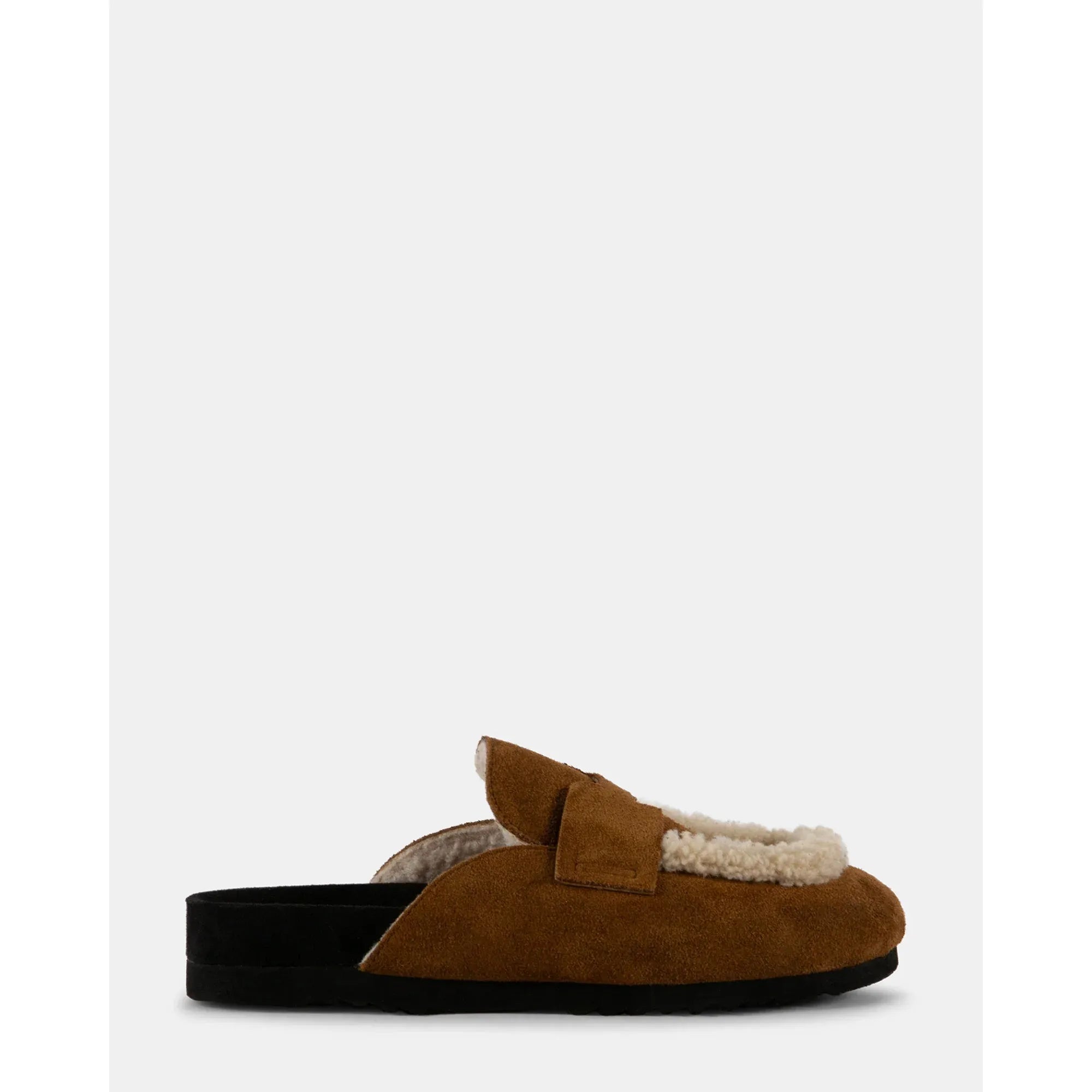 Downy | Camel Mirco