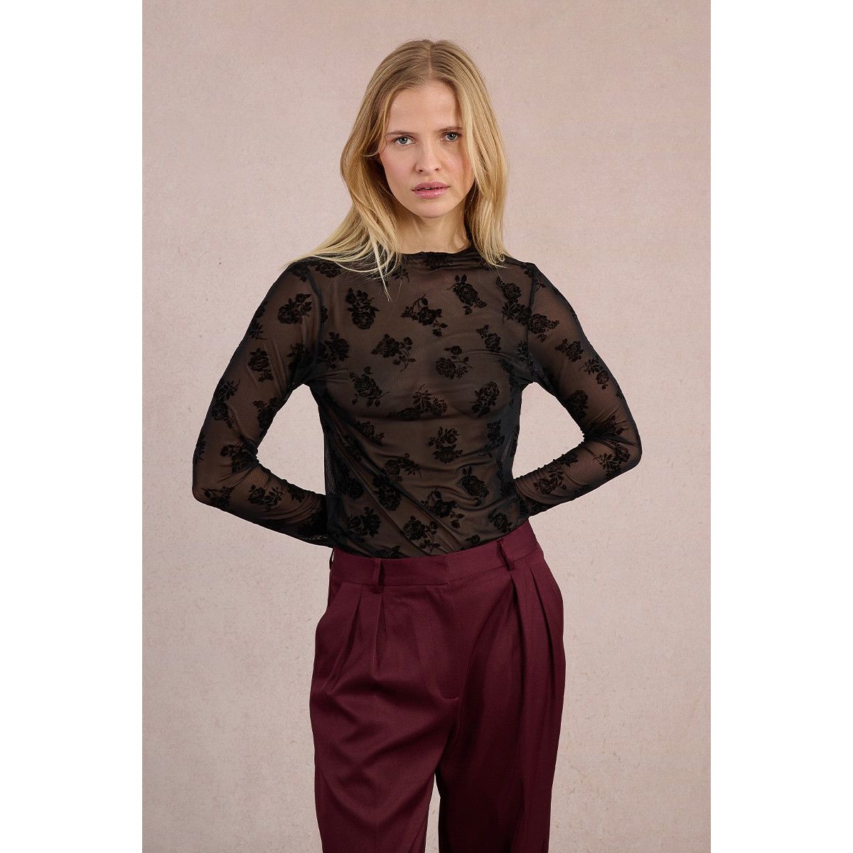 Sheer Floral Embroidered Top