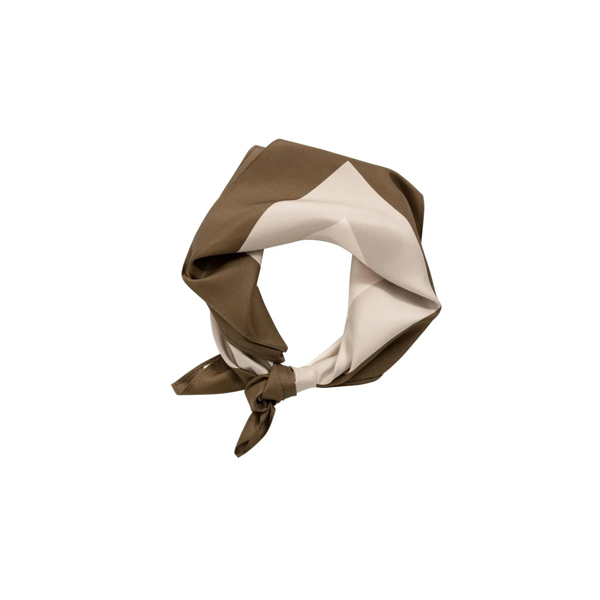 Satin Scarf w/ Border Print