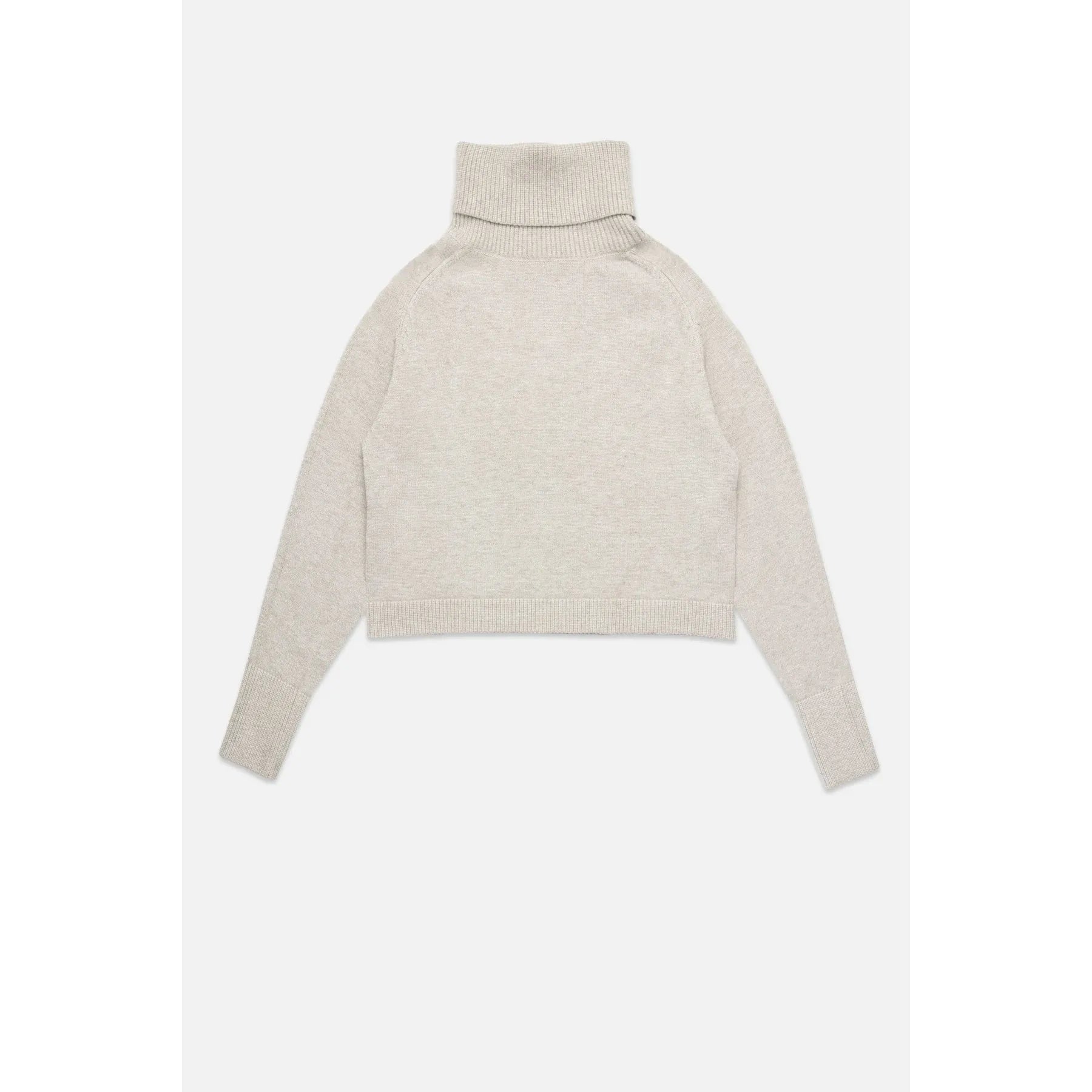 PUGLIESE TURTLENECK SWEATER