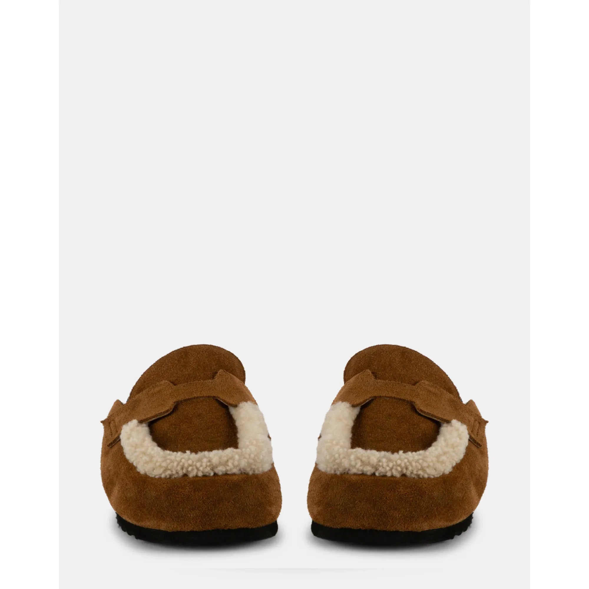 Downy | Camel Mirco
