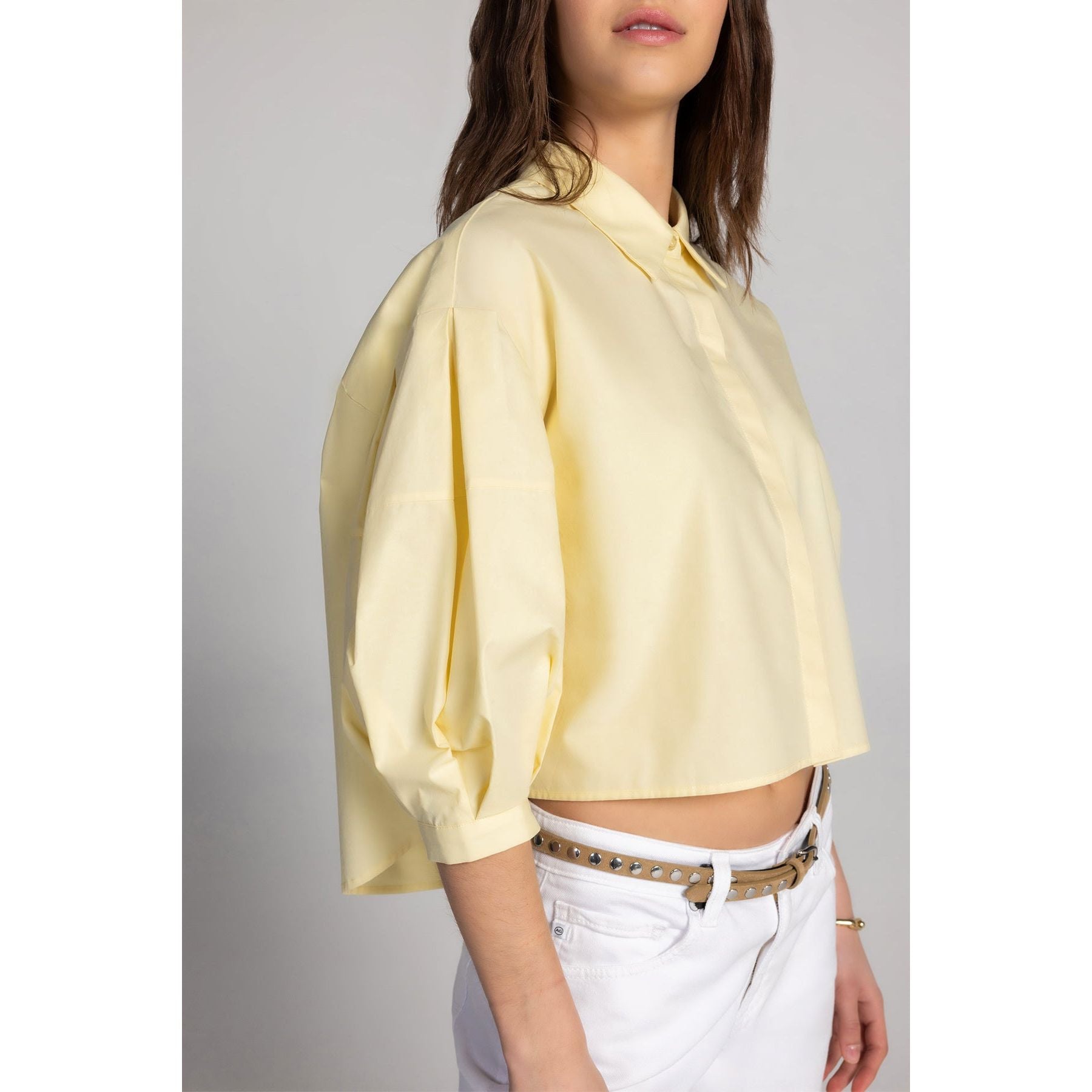 Simple Puff Sleeve Blouse – Timeless Honey