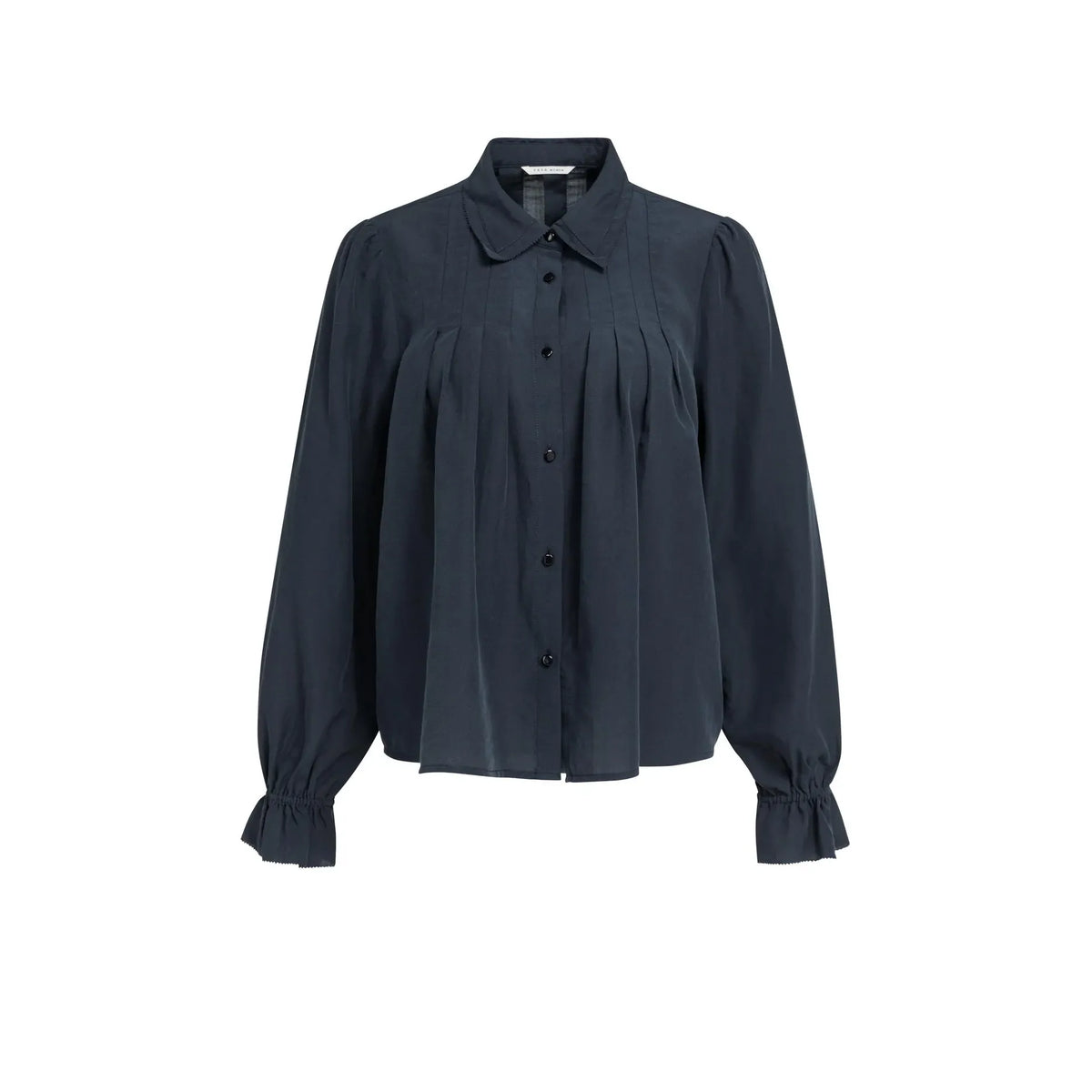 Sheer Pleated Blouse